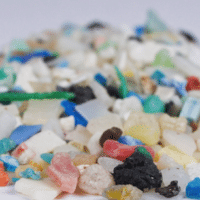 | Plastics of all shapes sizes colors and composition enter the ocean every day with largely unknown impacts Studying these environmental impacts outside the lab and in the ocean is challenging Image by Florida Sea Grant via Flickr CC BY NC ND 20 DEED | MR Online